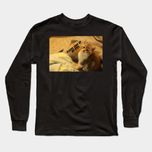 Cats begging you to looking her eyes Long Sleeve T-Shirt